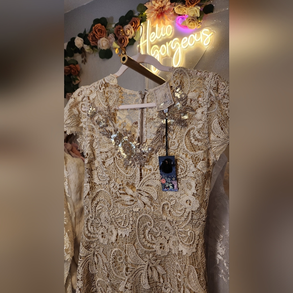 NWT Size 6 Johnny Was RARE Ivory Lace & Sequin Cocktail Midi Dress
